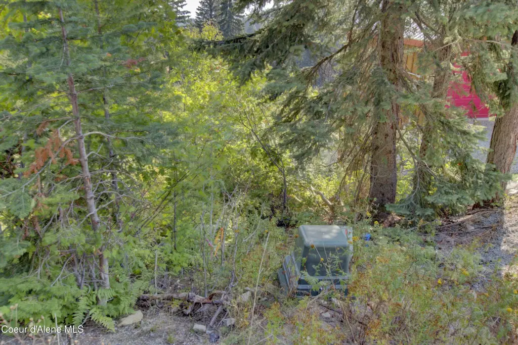 Picture 3