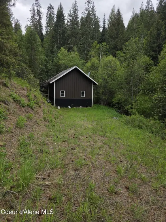 Picture 5