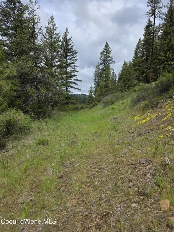 Picture 11