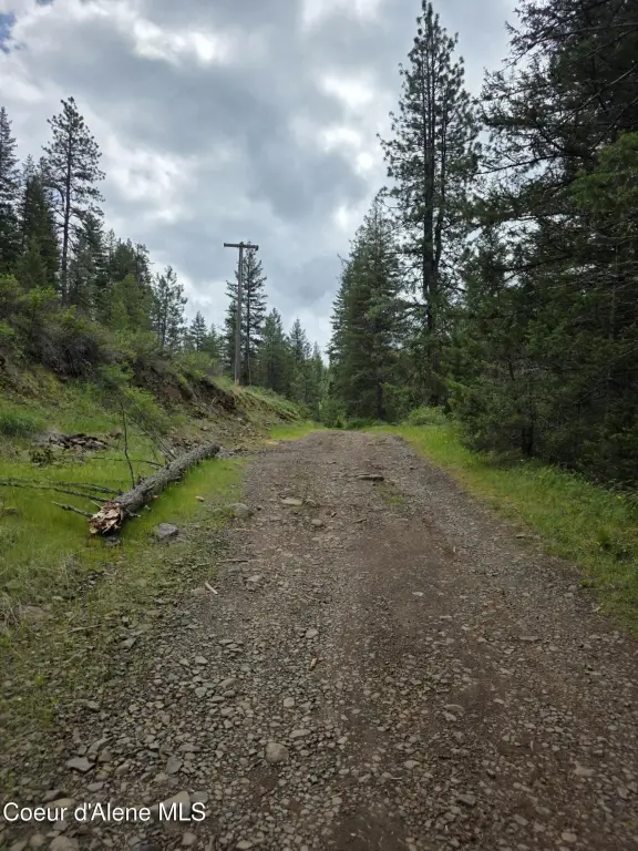 Picture 12