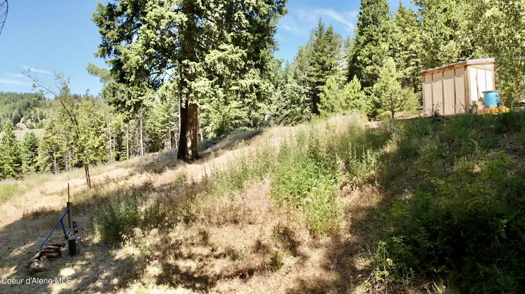 Picture 12