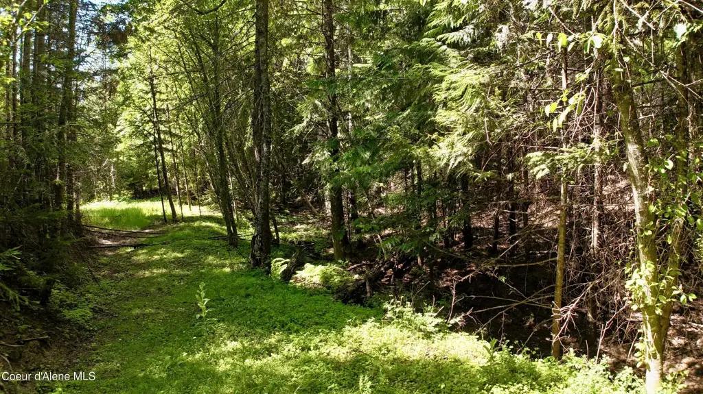 Picture 29