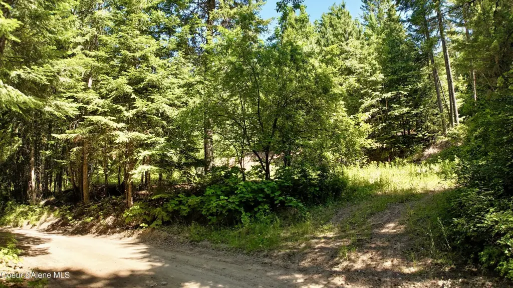 Picture 25