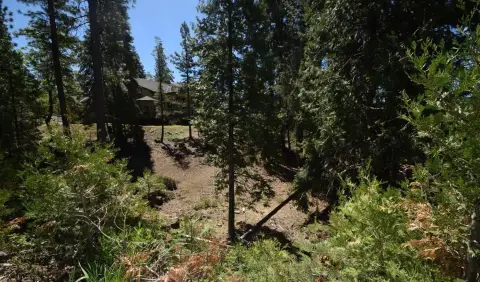 Shaver Lake Land Opportunity