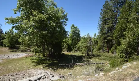 Shaver Lake Land Opportunity