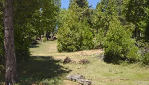 Shaver Lake Land For Sale