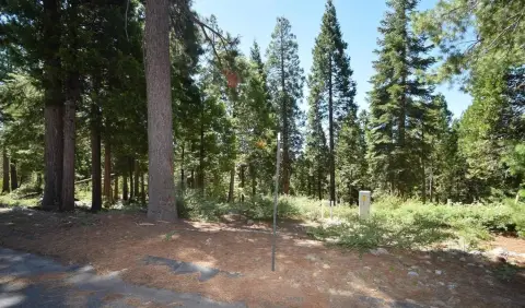 Shaver Lake Land Opportunity