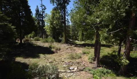 Shaver Lake Land Opportunity