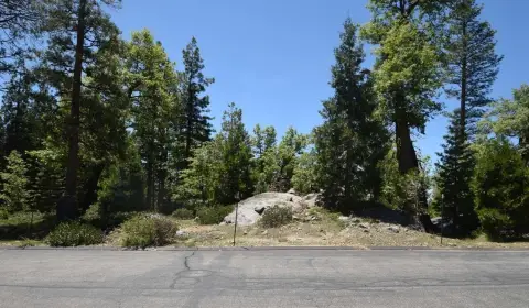 Shaver Lake Land Opportunity