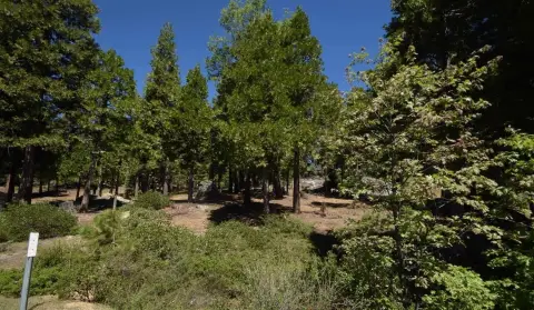Shaver Lake Land Opportunity