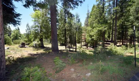 Shaver Lake Land Opportunity