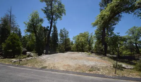 Shaver Lake Land Opportunity
