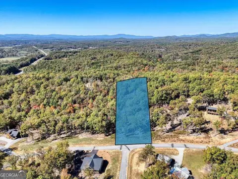 Picture of Land at Split Crk Rd 90, Morganton, GA