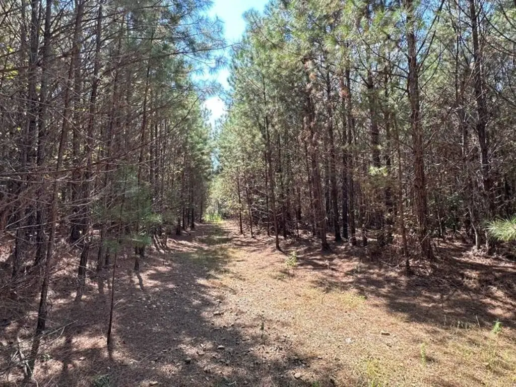 Picture 6
