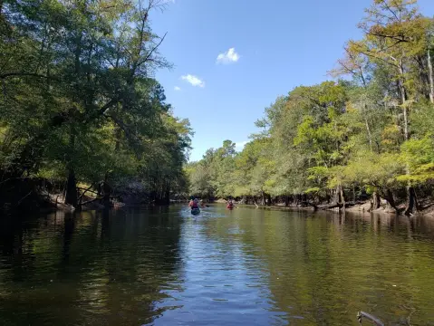 625-Acre Wildlife Habitat in Salters