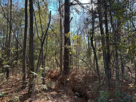 Fayetteville Land Opportunity
