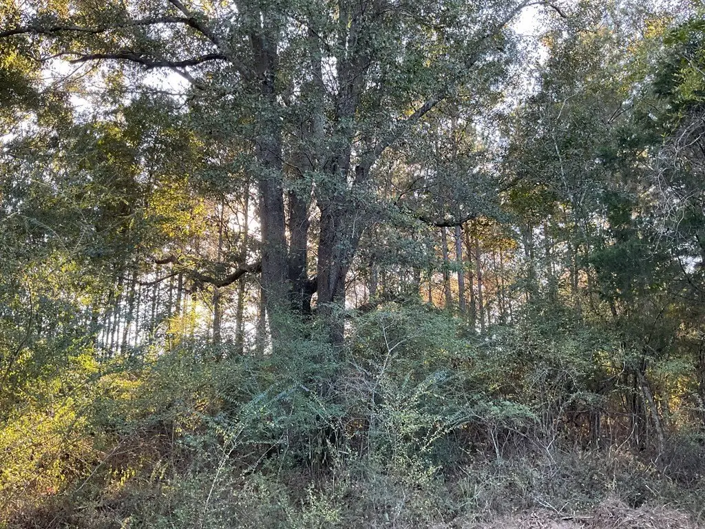 Picture 25