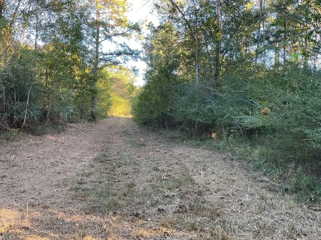 Picture 16
