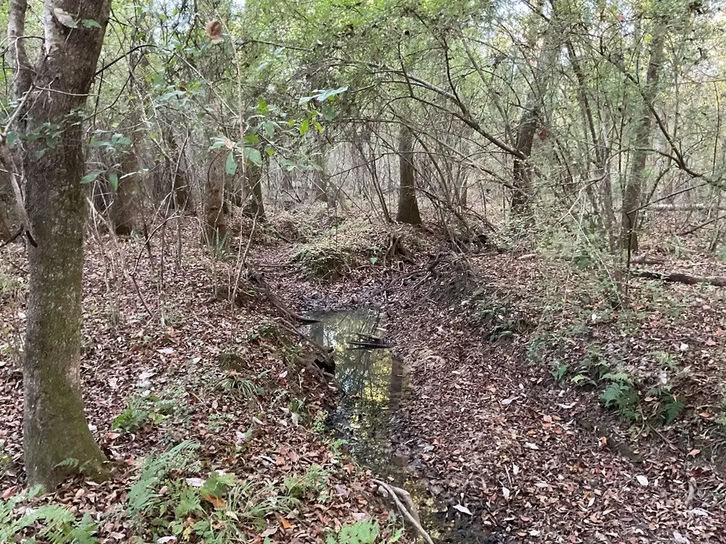 Picture 23