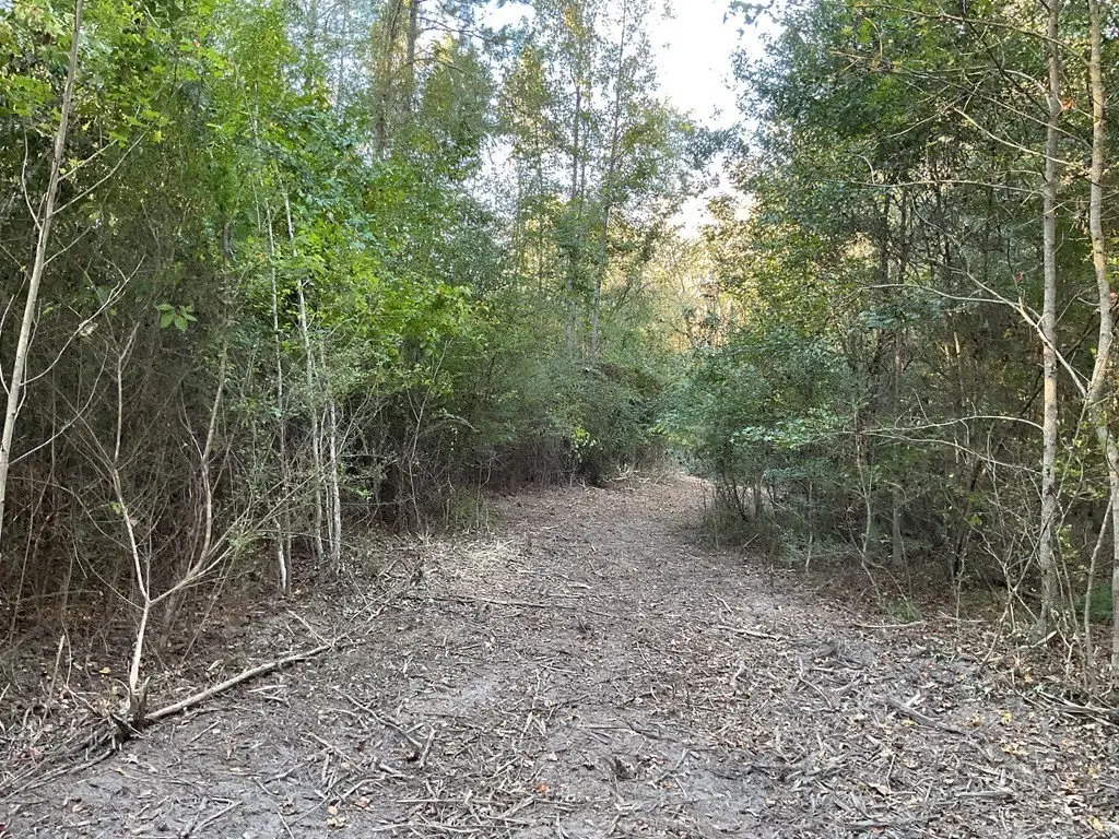 Picture 21