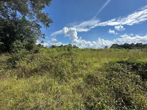 Unrestricted Land in Coffee County