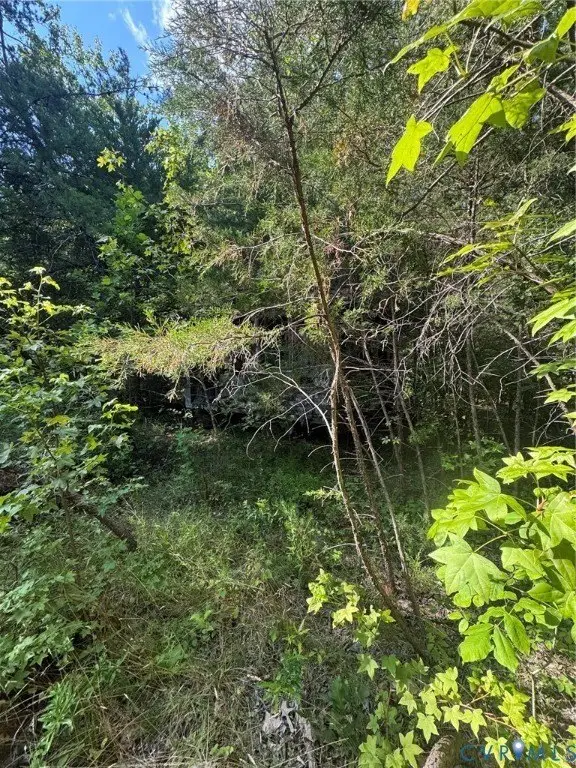 Picture 3