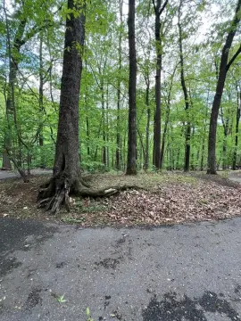 Buildable Lot in Big Canoe