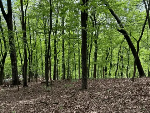 Big Canoe Buildable Lot