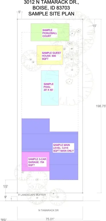 Picture 6