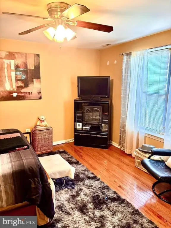 Picture 12