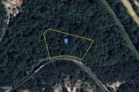 Spacious Wooded Lot in Loudon