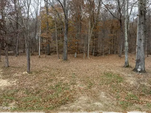 Residential Land in Blountville, TN
