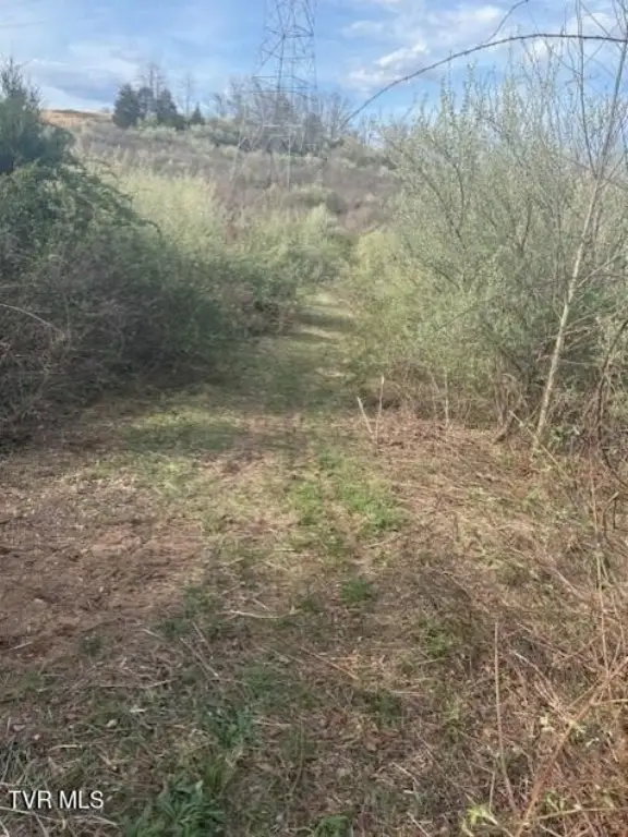 Picture 6