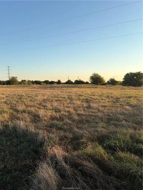 Picture 6