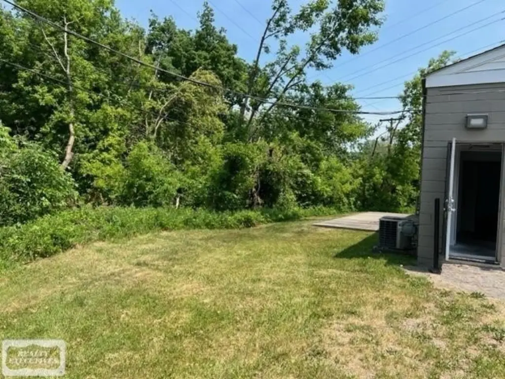 Picture 18