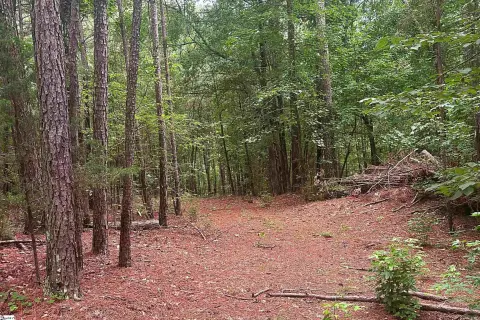 Wooded Recreation Land with Stream