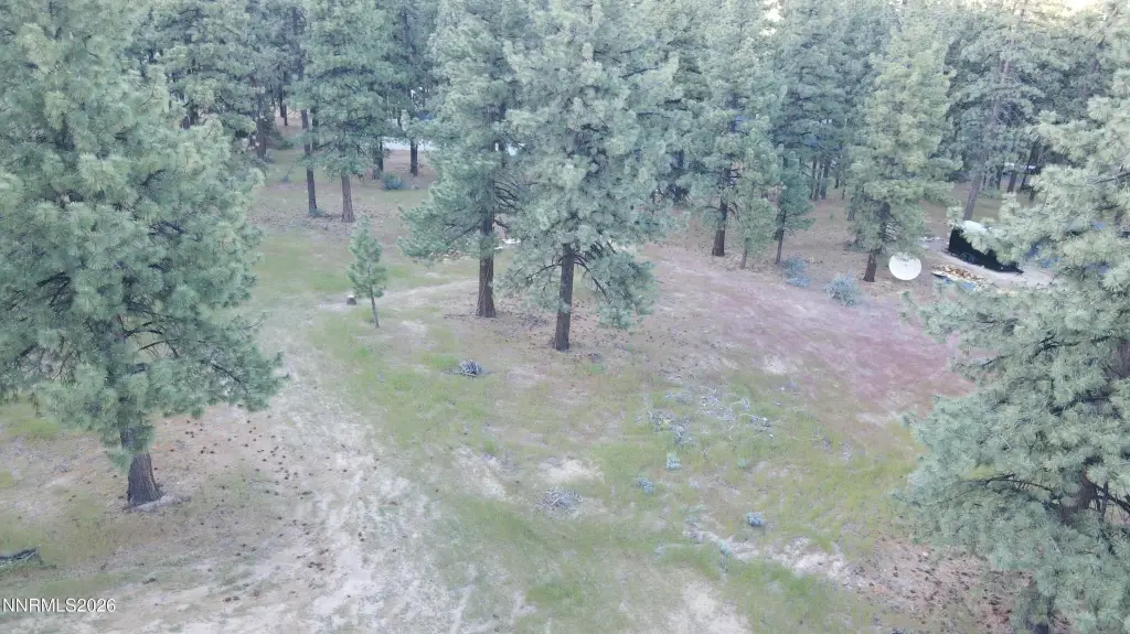 Picture 5