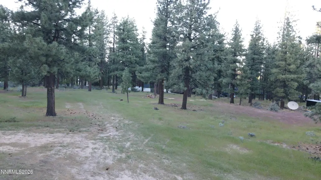 Picture 4