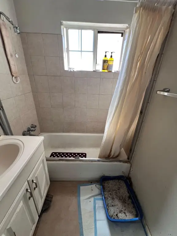 Picture 18