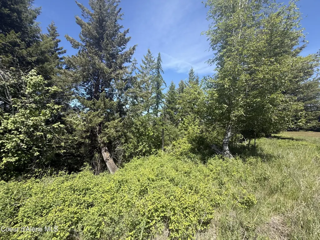 Picture 24