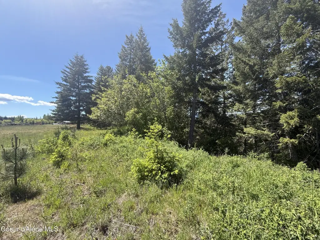 Picture 25