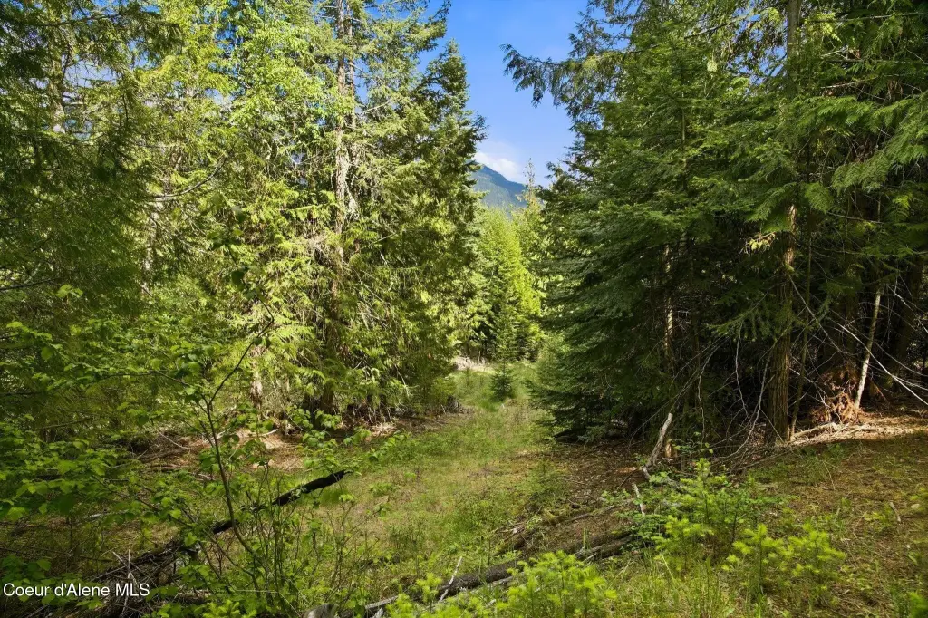 Picture 31