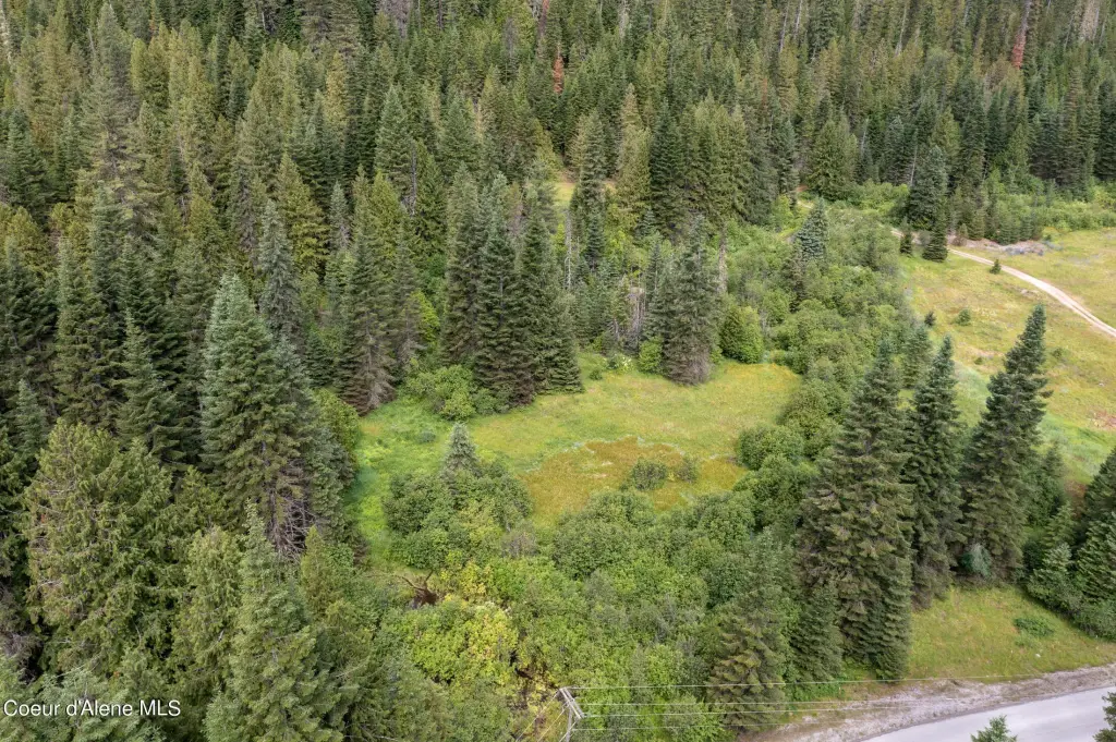 Picture 41