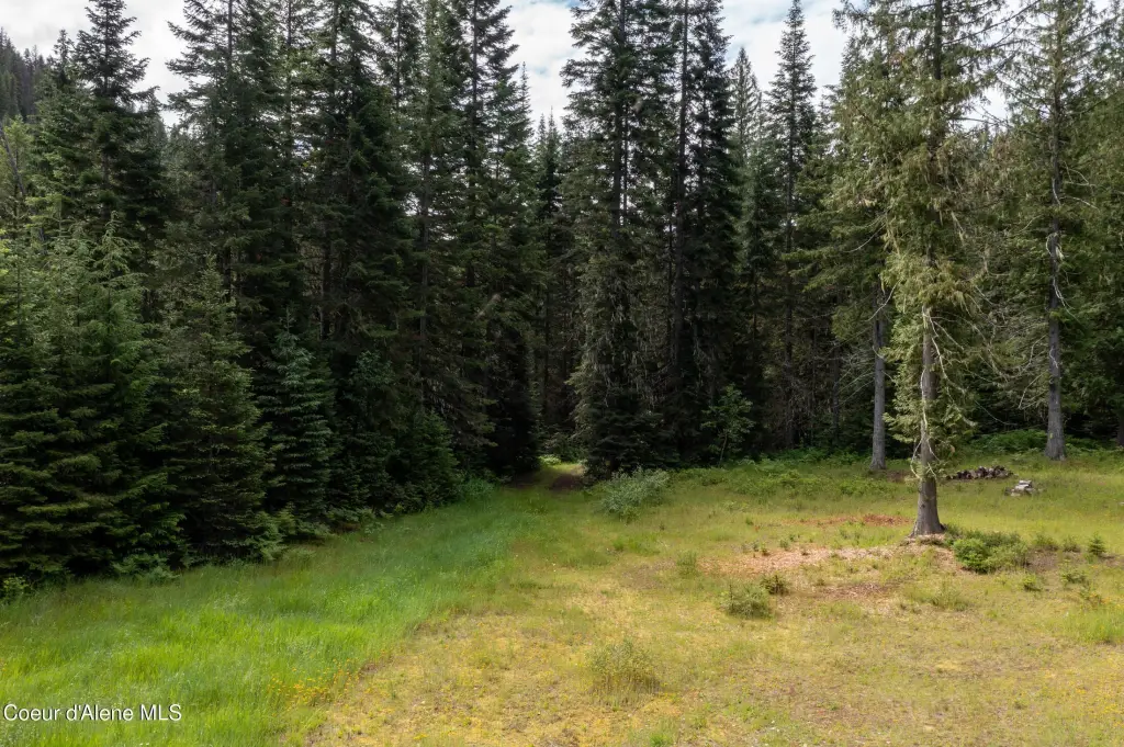 Picture 23