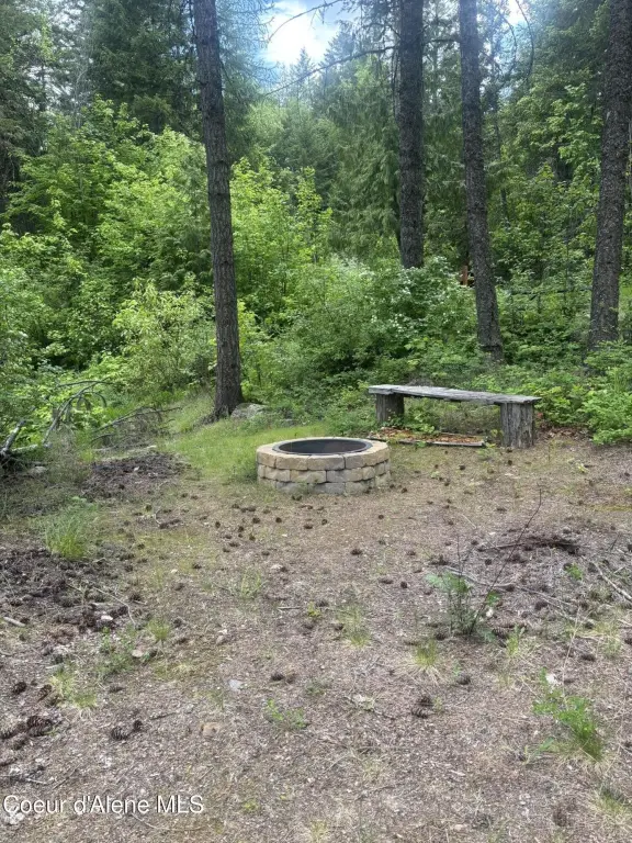 Picture 4