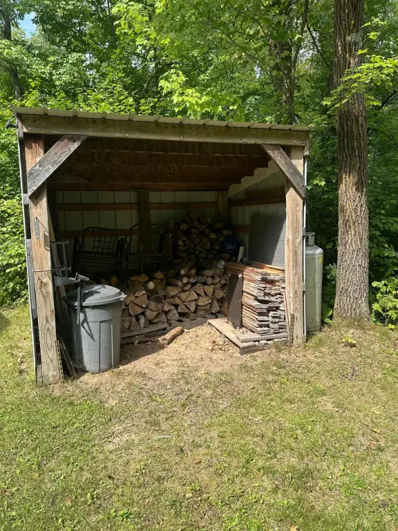 Picture 6