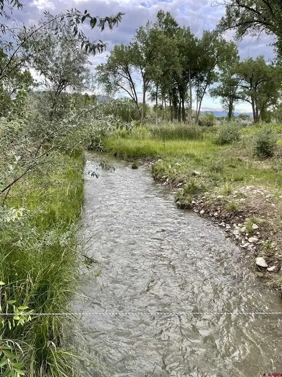Picture 41