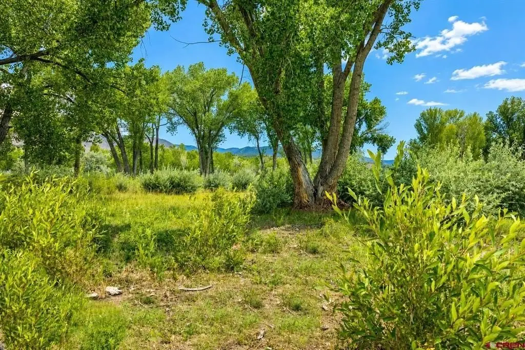 Picture 38