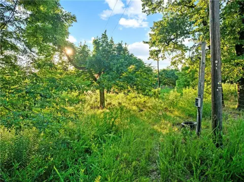 Ozark Hunting Land