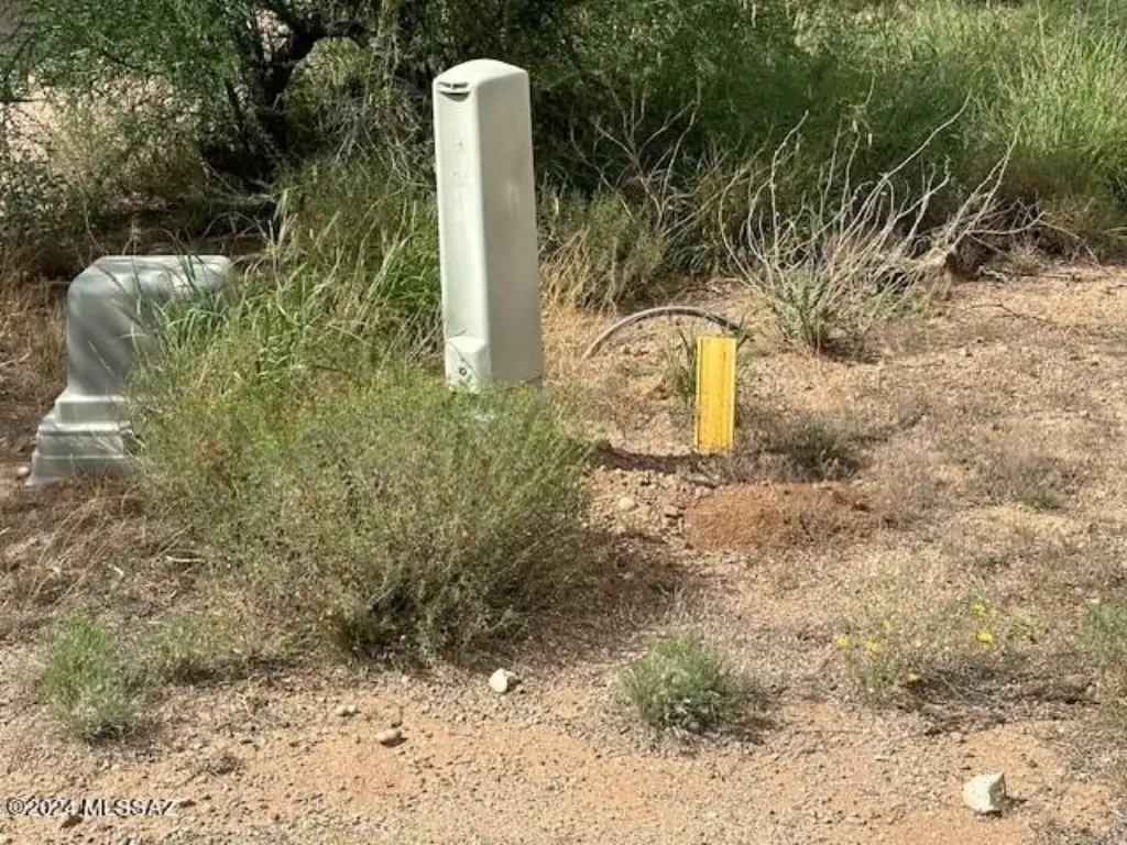 Picture 14